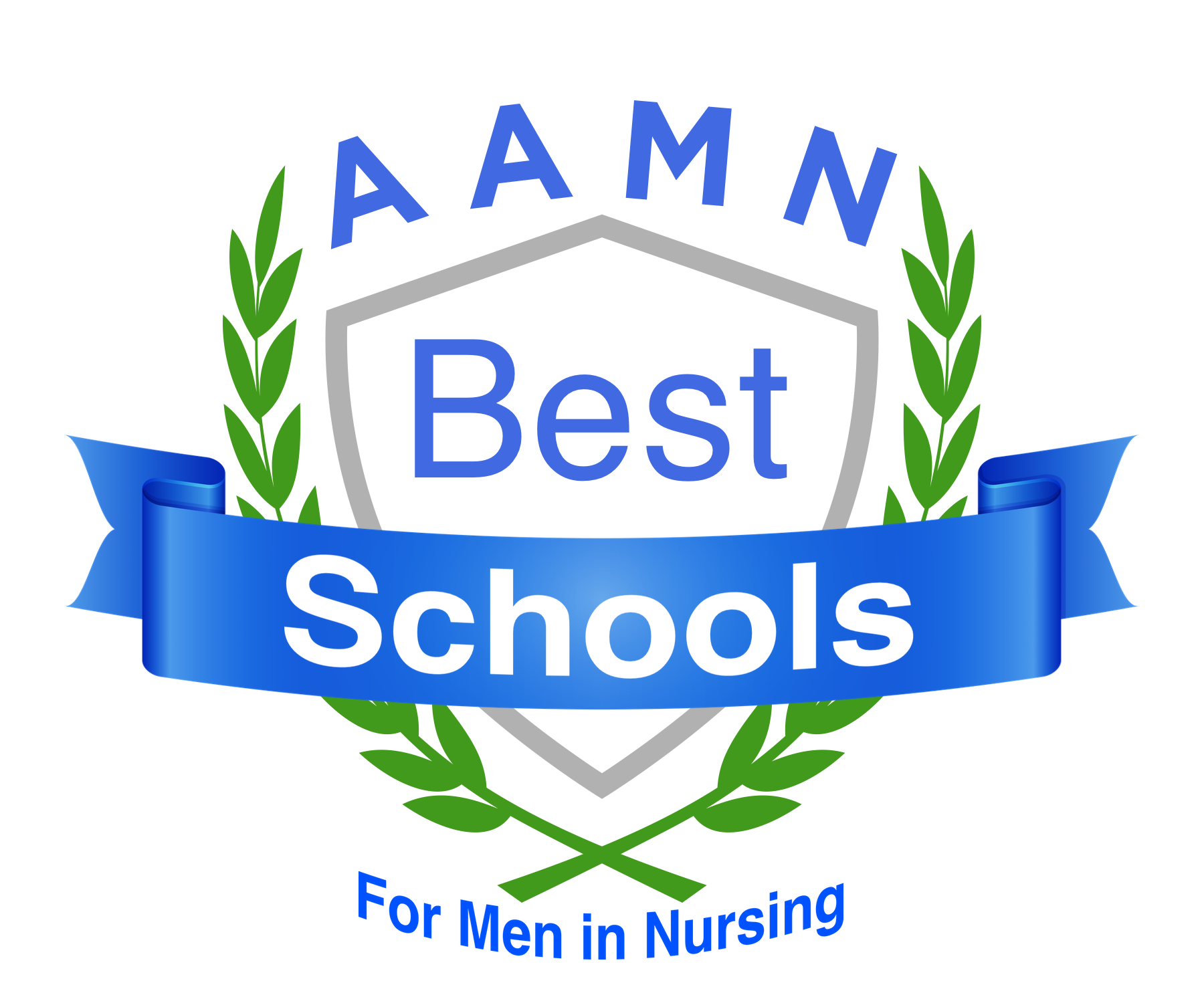 AAMN Best School for men in nursing award